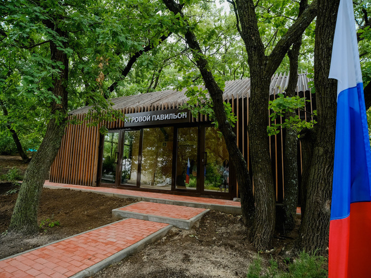 В Волгоградской области запустили «горячую линию» по вопросам детского отдыха