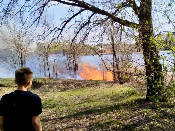 Пятеро школьников остановили пожар в поселке Дзержинского