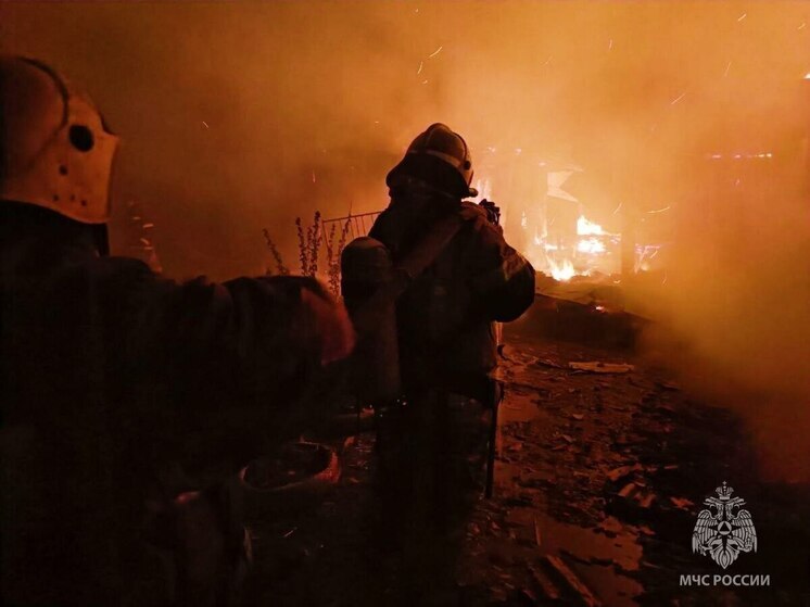 В Омской области за неделю случилось почти 90 пожаров