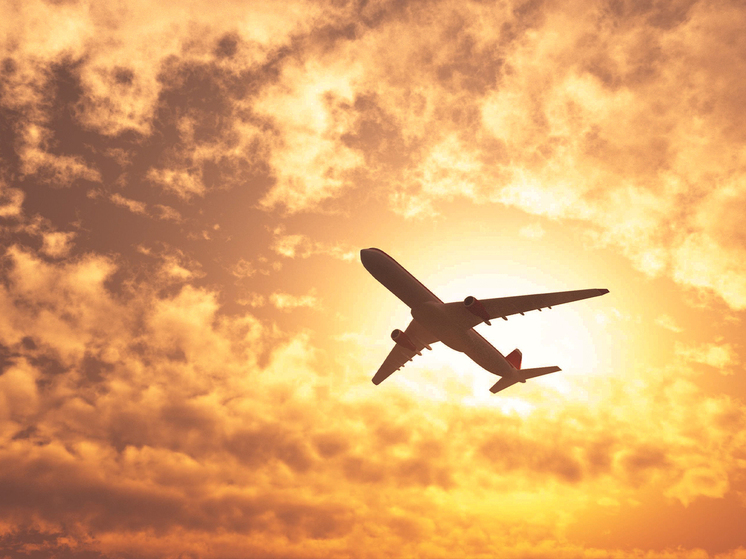 Роскошный самолет из Катара может стать президентским бортом Трампа