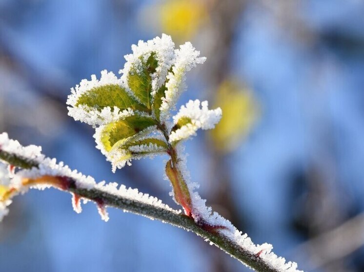 Forecaster Tishkovets: Frosts Return to Moscow Region