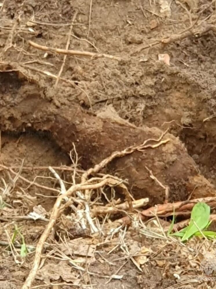 Под Калугой обезвредили мину