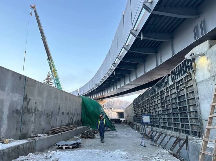 В Барнауле до конца ноября текущего года планируют завершить строительство транспортной развязки на Змеиногорском тракте