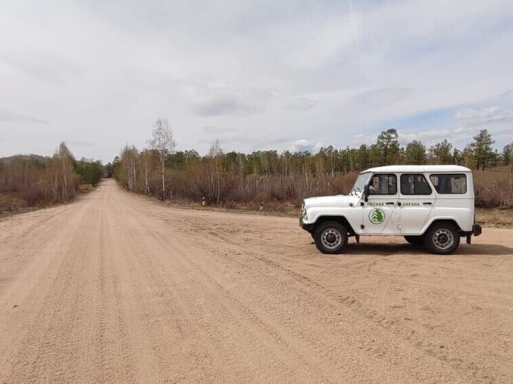  Лесные пожары обошли Хакасию стороной