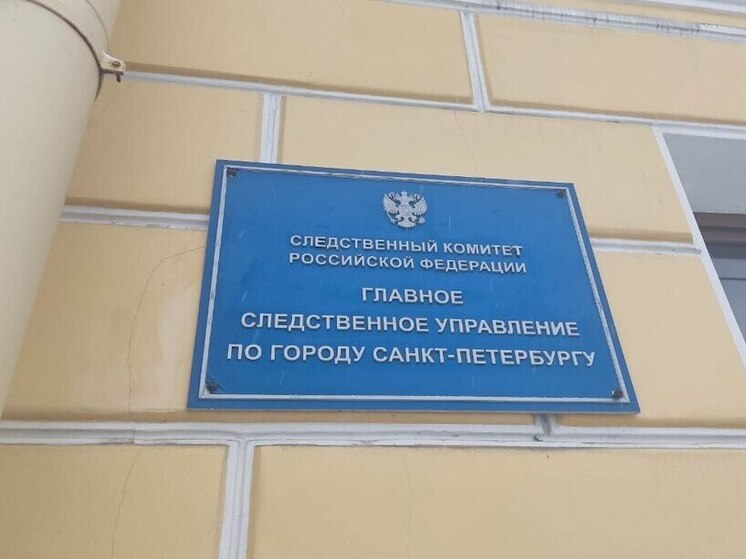 Глава СК разберется в деле петербуржца, который прыскал перцовкой в своих детей