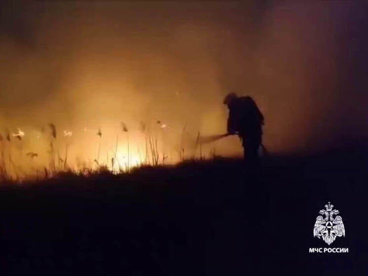 В Советском районе произошло возгорание камыша