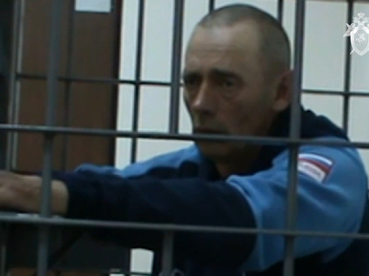 В Алтайском крае продолжается процесс над обвиняемым в 11 эпизодах убийств девушек и женщин Виталием Манишиным