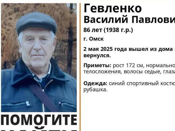 В Омске продолжаются поиски 86-летнего пенсионера, пропавшего 2 мая