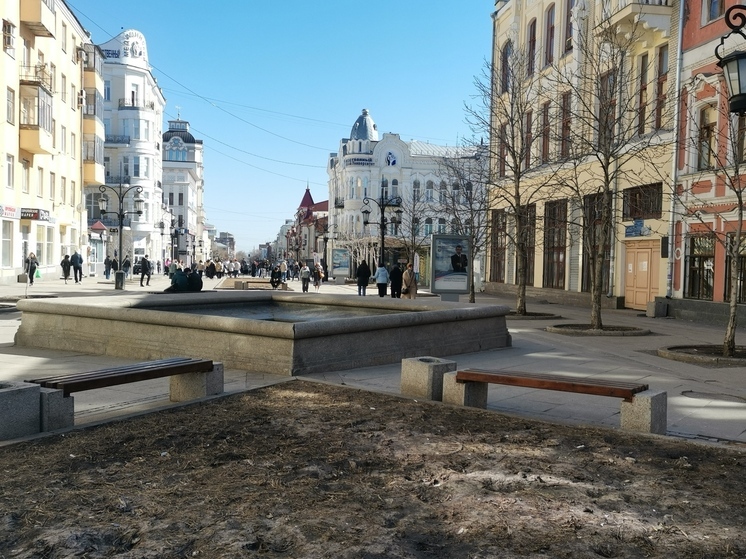 В Самаре вместо деревьев посадят цветы и установят вазоны на улице Ленинградской
