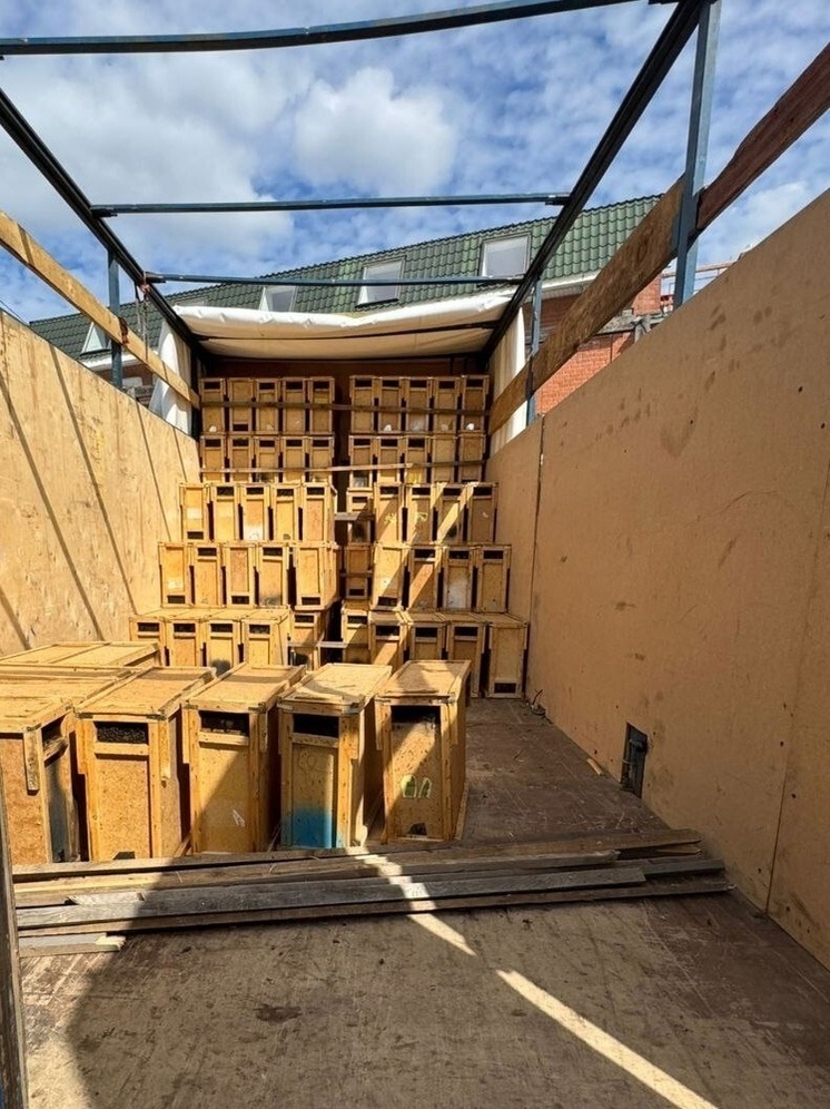 В Чувашии обнаружили незаконный ввоз 250 пчелопакетов из Узбекистана