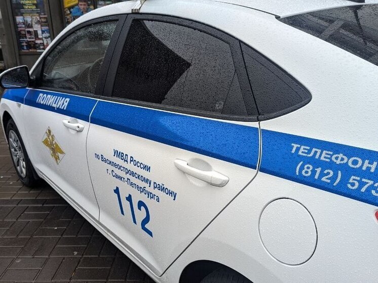 Журналистку телеканала «78» атаковали во время съёмок в Колпино»