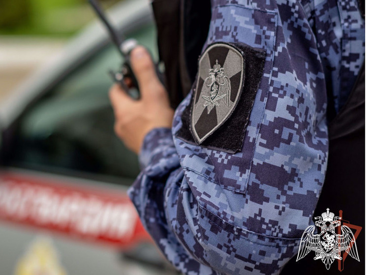 Двое пьяных жителей Брянска открыли стрельбу в частном секторе