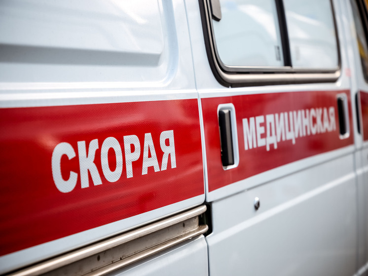 Под Тверью подросток пострадал в ДТП с лосем