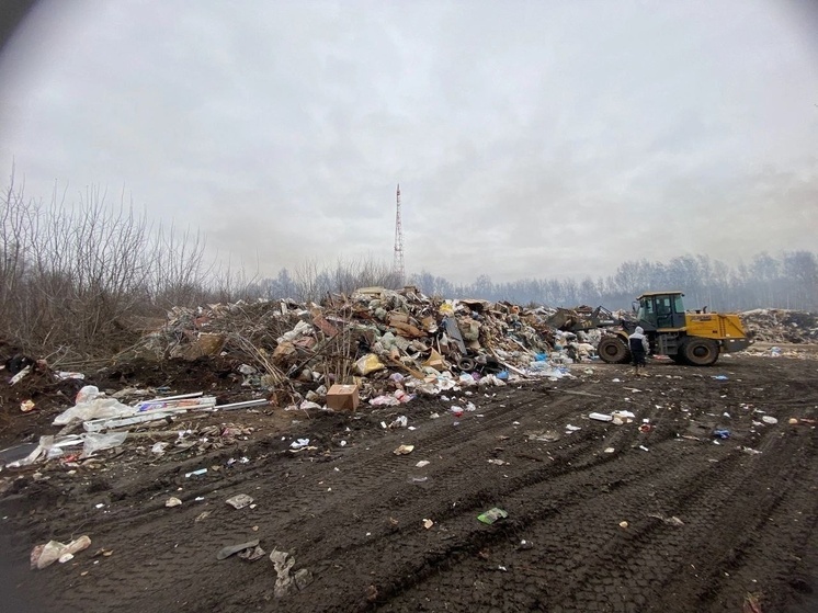 В Муроме ликвидируют свалку