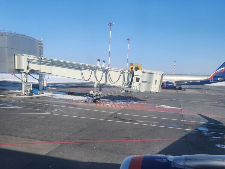 В Самаре таможенники назвали самые частые нарушения в аэропорту «Курумоч»