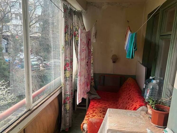 Житель Ялты пойдет под суд за выращивание конопли на балконе квартиры
