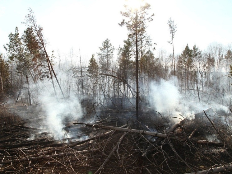 Все майские лесные пожары в Иркутской области ликвидированы