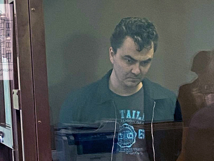 Обвиняемому в убийстве нижегородки Натальи Маурер грозит до 15 лет