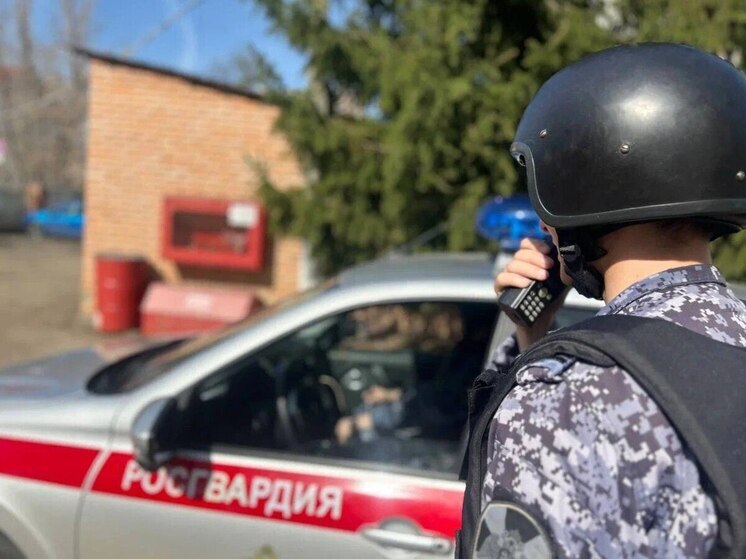 Подозреваемого в краже задержали росгвардейцы в Подмосковье