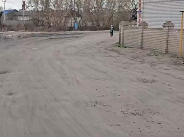 Воронежцы требуют остановить поток самосвалов, разрушающих их дома