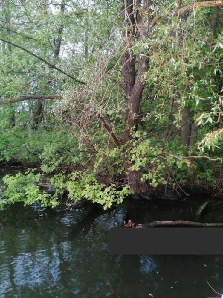 В Пензенской области спасатели достали из Суры в районе Барковки тело мужчины