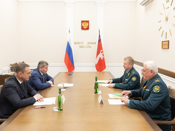 Андрей Бочаров встретился с руководством Южного таможенного управления