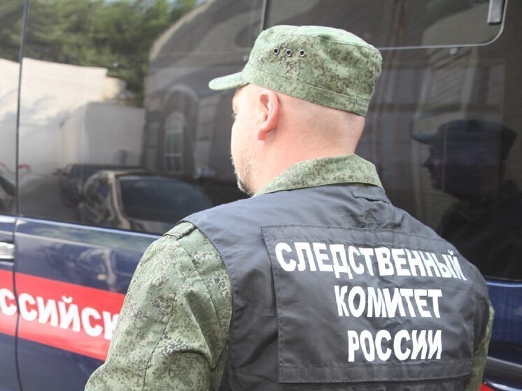 Оренбуржец пойдет под суд за обман государства на 700 тысяч рублей