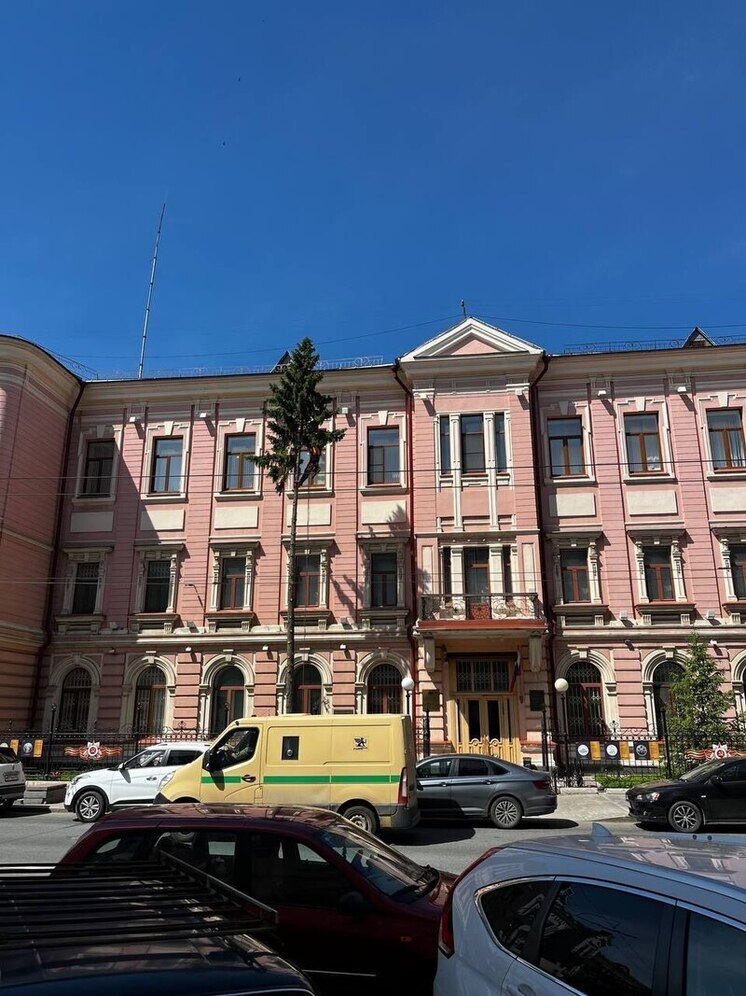 В Самаре 12 мая спилили две 50-летние ели у здания Центробанка на Куйбышева, 112