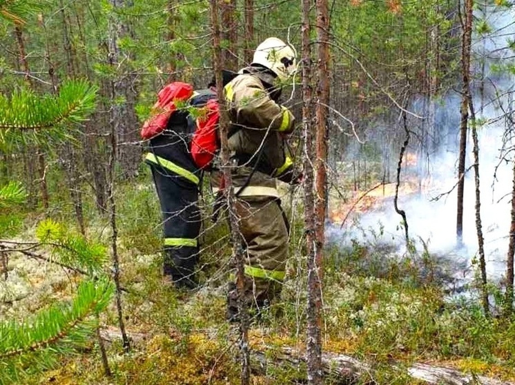 В Югре обстановка с природными пожарами спокойна