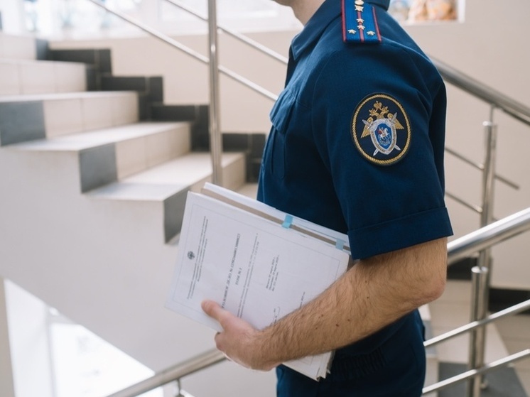 Директор Смоленской фирмы уклонялся от уплаты недоимки по налогам