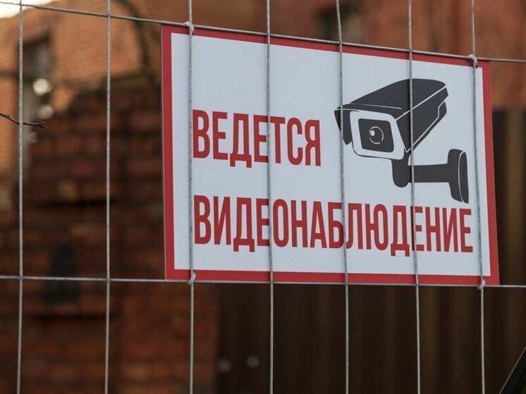 В Ленобласти в 3 раза возросло число штрафов за мусор благодаря видеофиксации