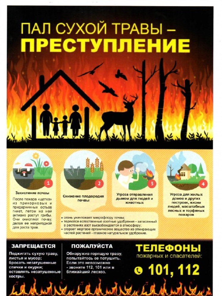 Псковичам рассказали, в чем опасность сжигания сухой травы