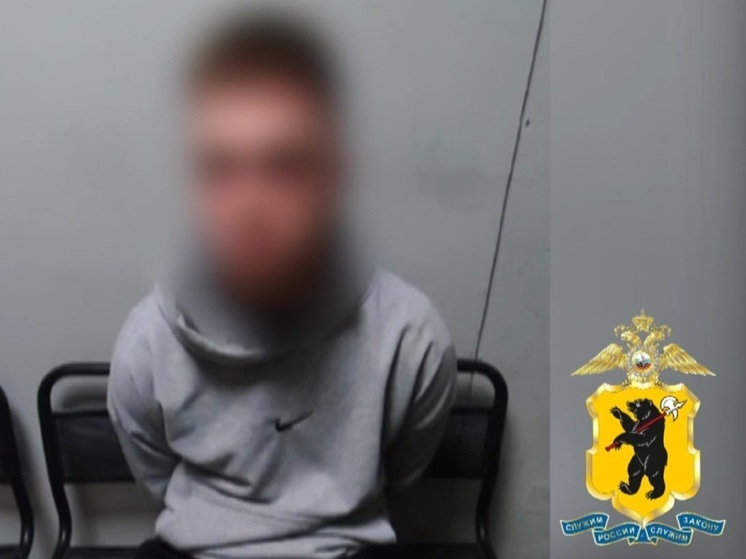 В Ярославле задержан курьер телефонных мошенников