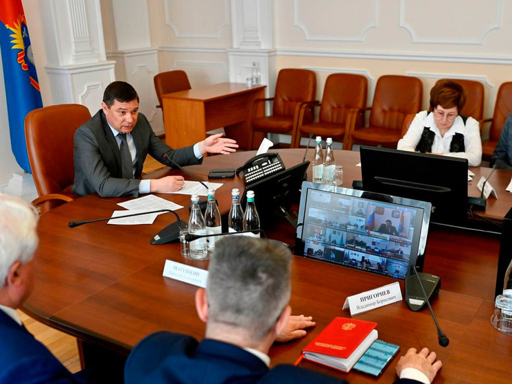 В Тамбовской области запланирована реорганизация производства саженцев в лесхозах