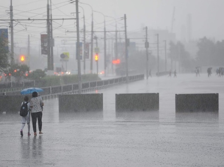 Синоптики прогнозируют в Волгоградской области усиление ветра и грозовые дожди