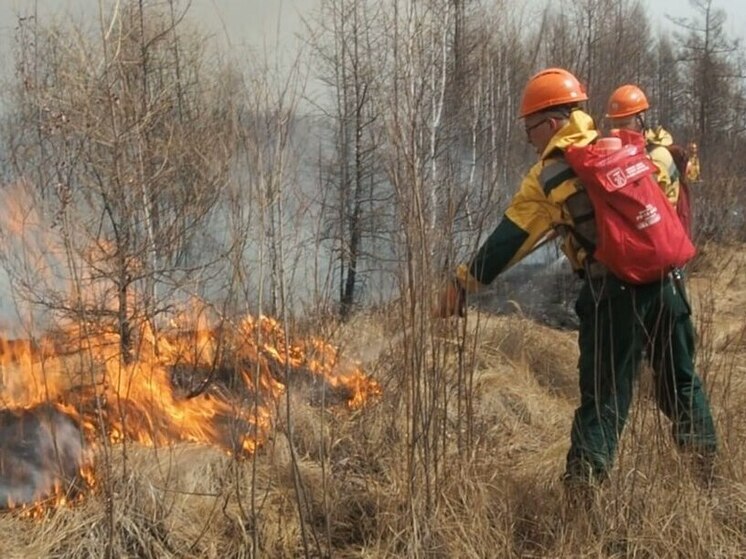 Пострадавший пожарный помог защитить ДНТ «Междуозерное» под Читой