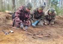 В Ленинградской области завершилась межрегиональная поисковая экспедиция «Вороново – 2025»