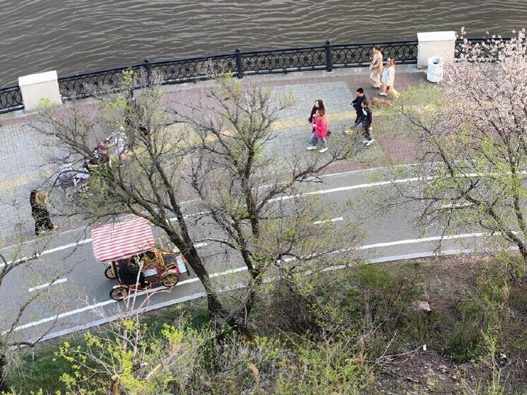 В Хабаровске 13 мая ожидается погода без осадков, днем столбик термометра на отметках +18 +20