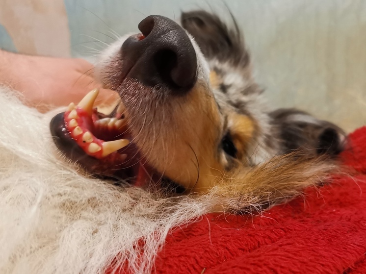 Стало известно, какая погода ожидает Приморье во вторник, 13 мая