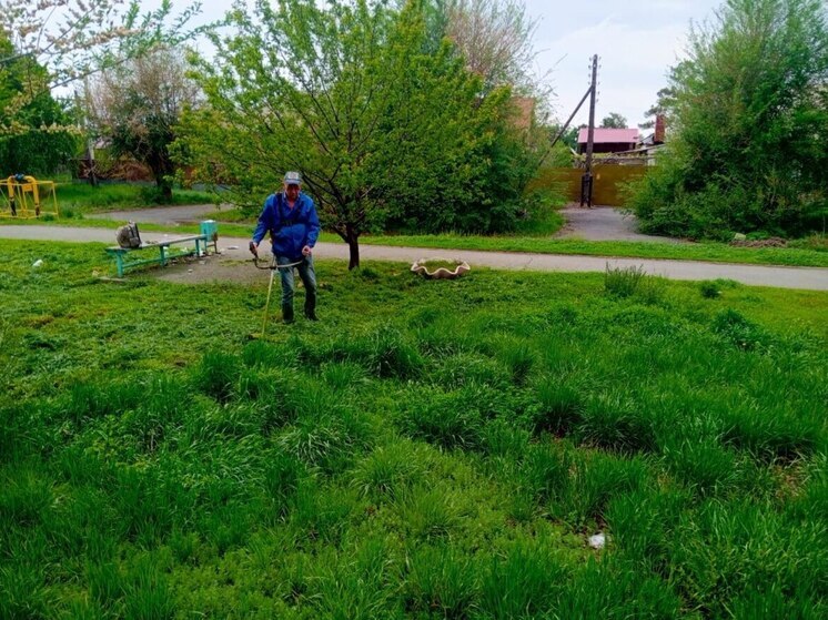 В Орске стартовал двухмесячник по покосу травы