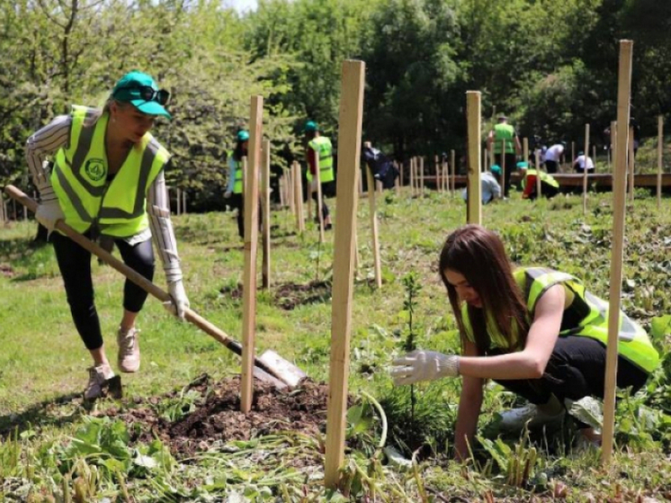 Акция «Сад памяти» пройдет в поселке Корфовский рядом с Хабаровском