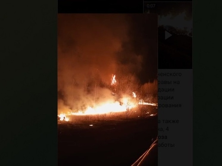 В Амурской области пламя разбушевалось возле поселка Орлиный