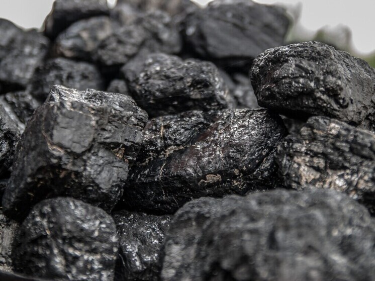 Приморское УФАС расследует возможный картель при поставках угля на 120 млн рублей