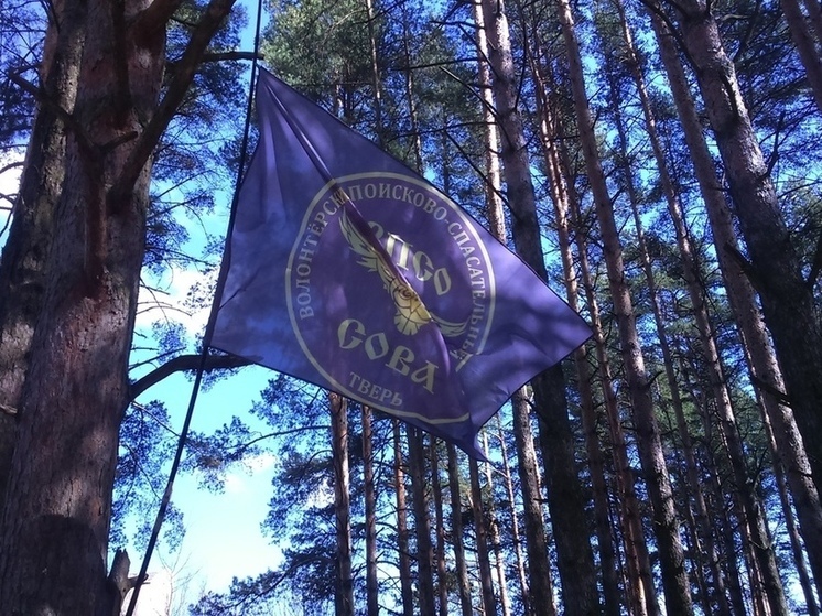 Нашли пенсионера, пропавшего в Тверской области накануне Дня Победы
