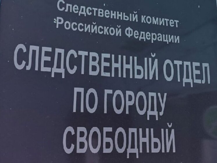 В Приамурье экс-полицейские за взятку не наказали предпринимателя за вырубку краснокнижного дерева