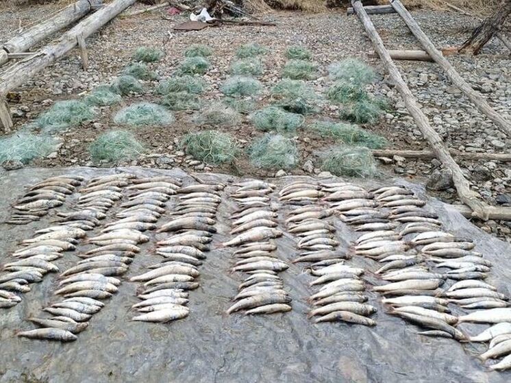 Браконьеров задержали у побережья заповедника в Приангарье