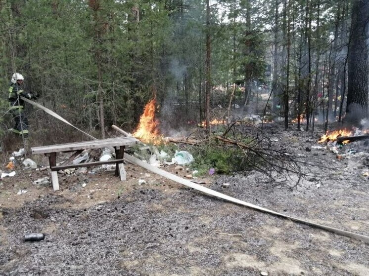 Пожар на кладбище в Пудоже угрожал лесу и захоронениям