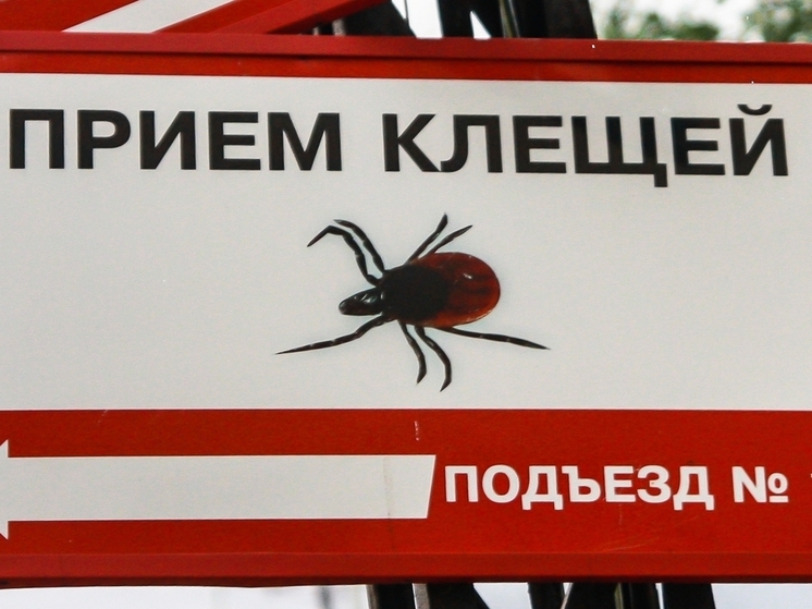 Более 60 жителей Карелии пострадали от укусов клещей за прошедшую неделю