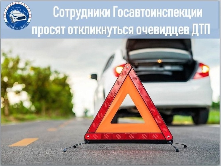 Госавтоинспекция Запорожской области просит помощи в поиске свидетелей ДТП