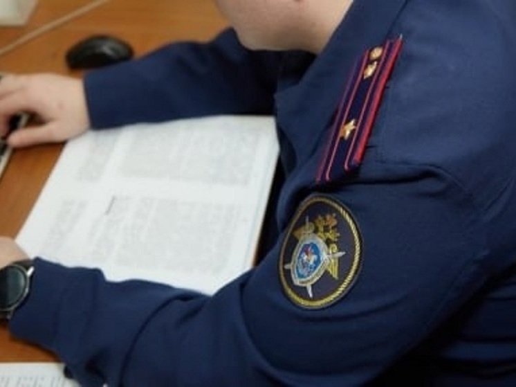 В Бердянске задержана женщина за публичное оскорбление полиции